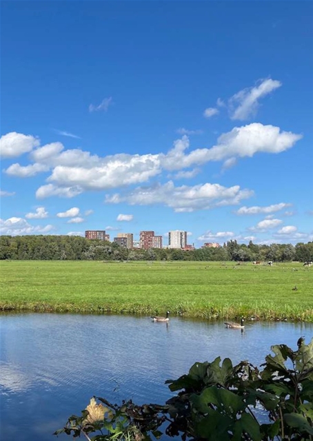 Cronesteyn landschap